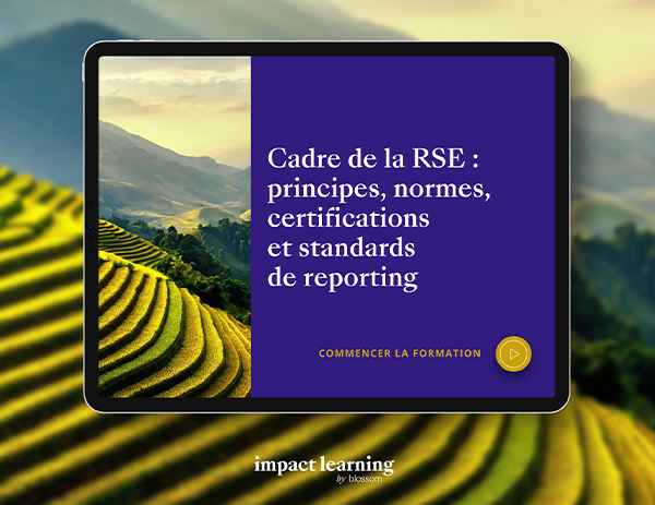 Cadre de la RSE : principes, normes, certifications et standards de reporting